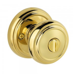Polished Brass Door Handle