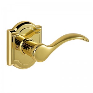 Polished Brass Door Handle